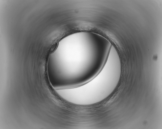 X0000094380501200711020828
