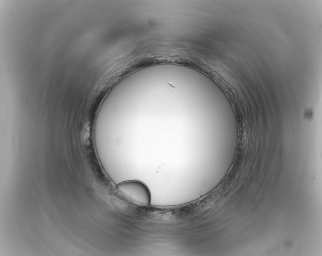 X0000094380502200711020828