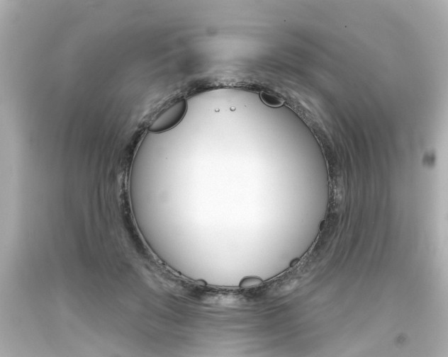 X0000094380503200711020828