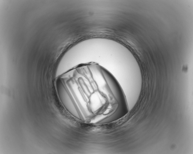 X0000094380504200711020828