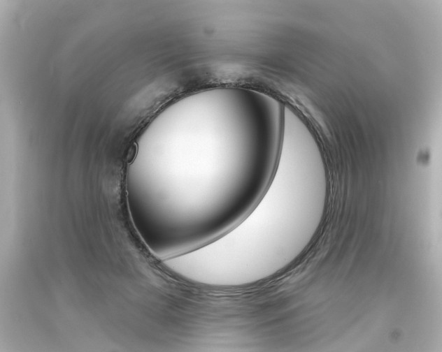 X0000094380505200711020828