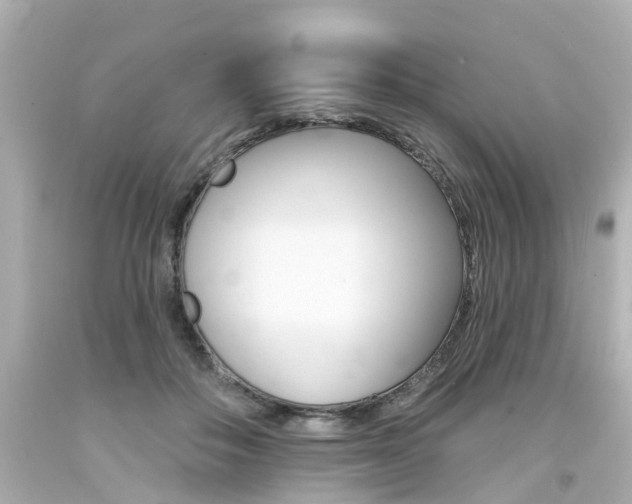 X0000094380506200711020828