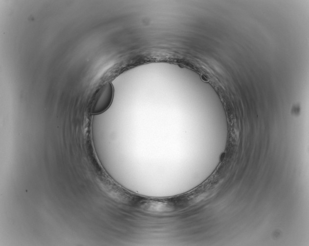 X0000094380507200711020828