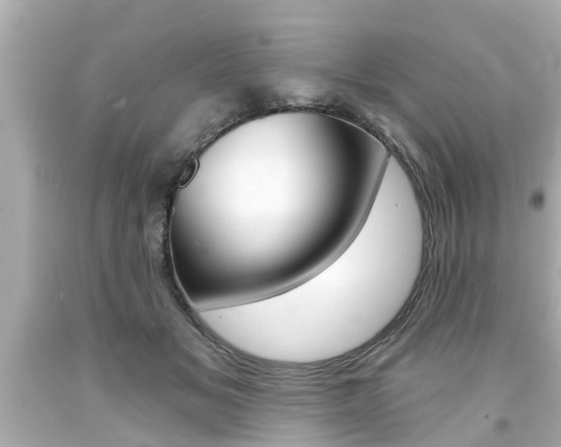 X0000094380509200711020828