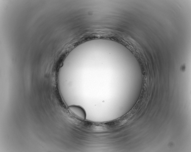 X0000094380510200711020828