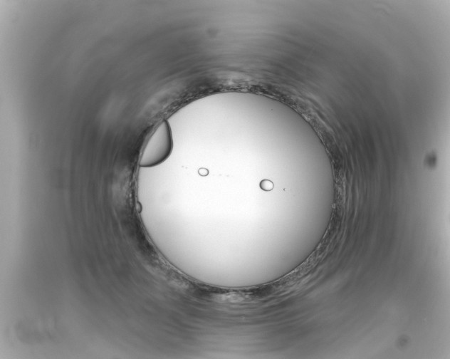 X0000094380511200711020828