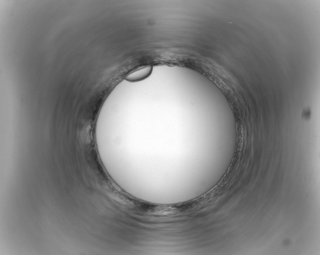 X0000094380514200711020828