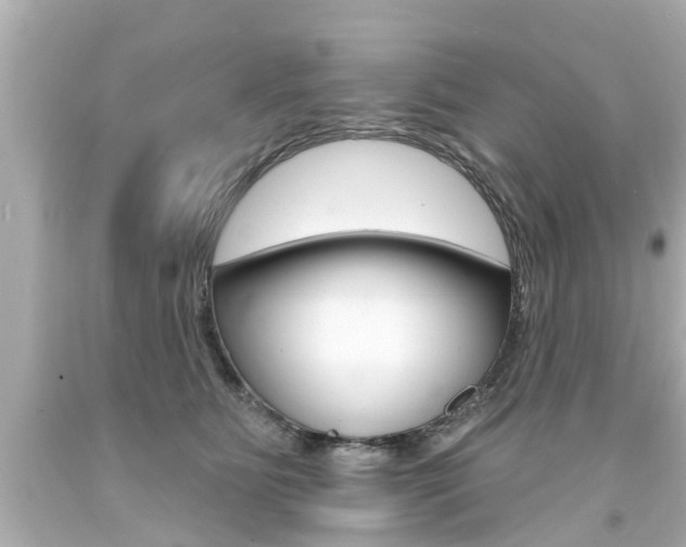 X0000094380515200711020828