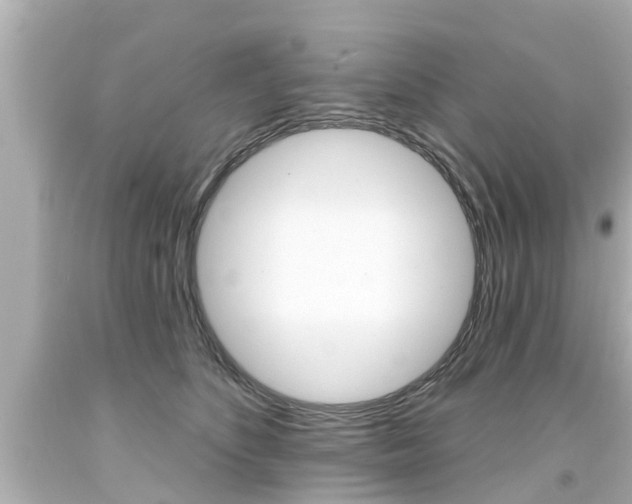 X0000094380516200711020828