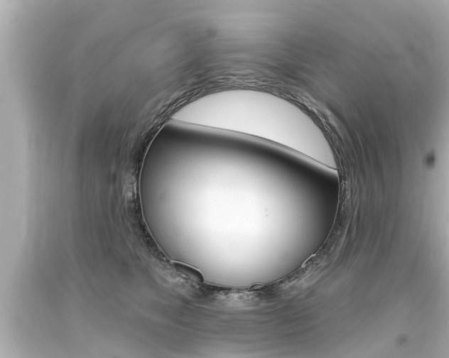 X0000094380517200711020828