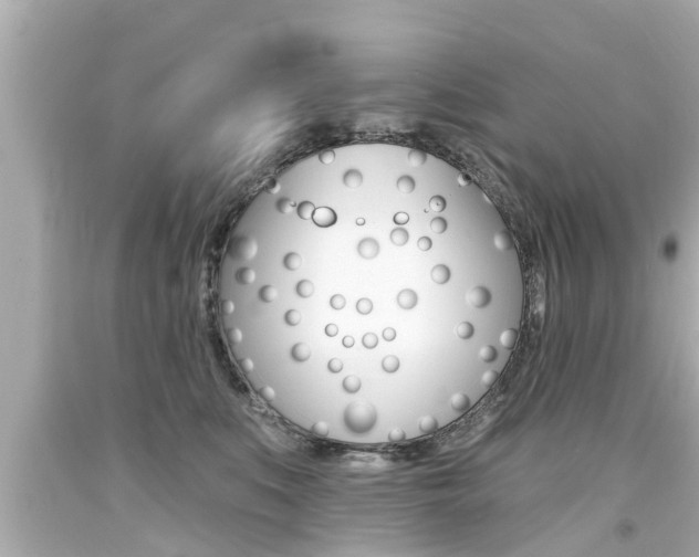 X0000094380519200711020828