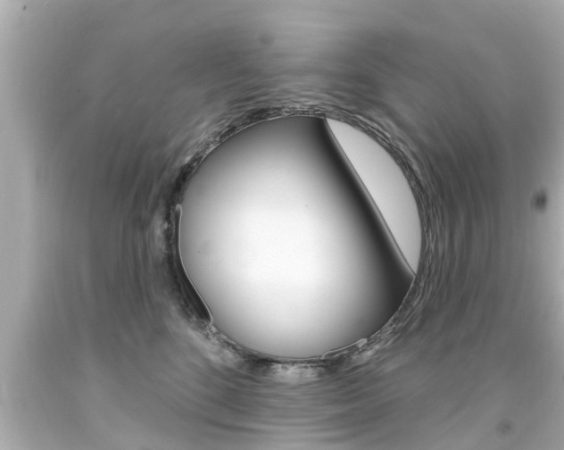 X0000094380520200711020828