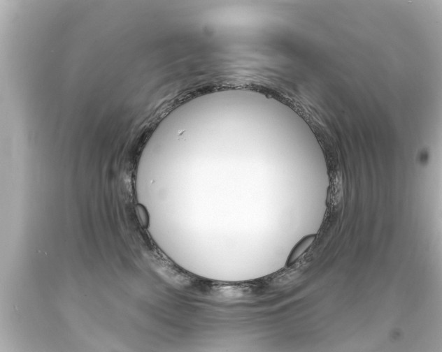 X0000094380522200711020828