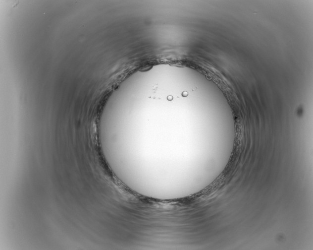 X0000094380523200711020828