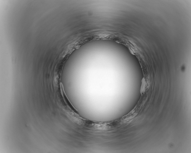 X0000094380524200711020828