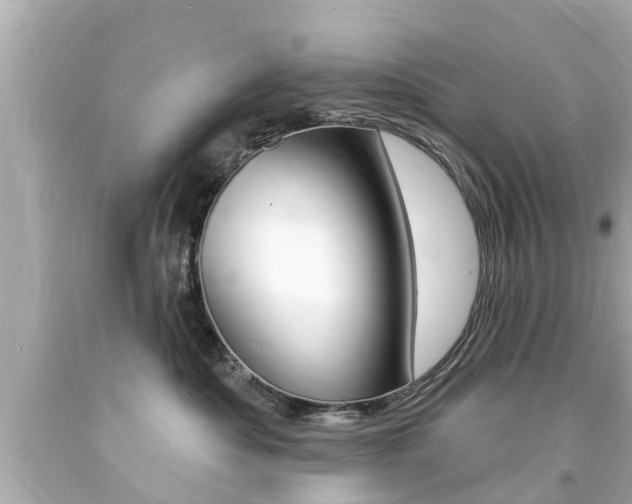 X0000094380525200711020828