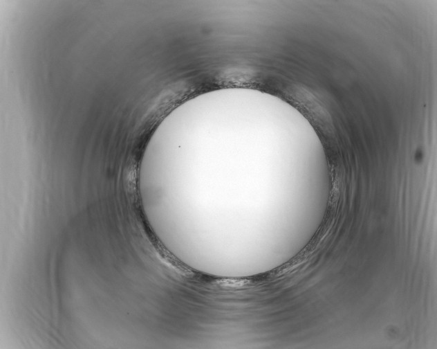 X0000094380526200711020828