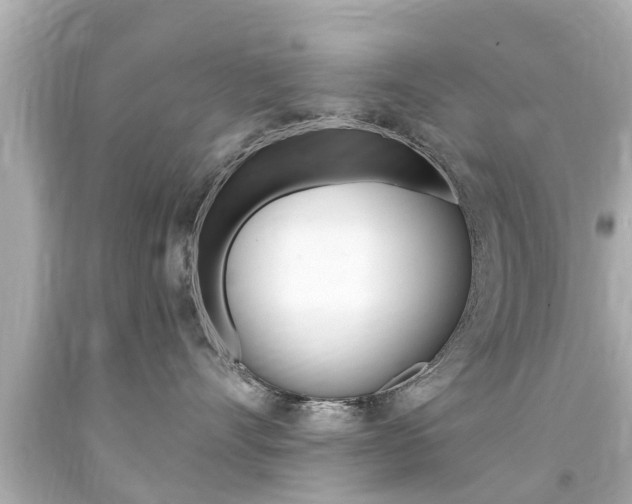 X0000094380528200711020828