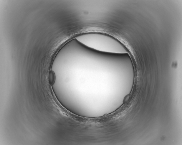 X0000094380529200711020827