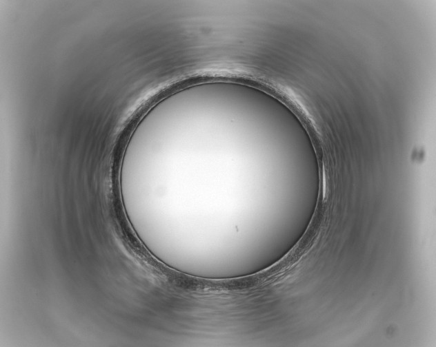 X0000094380531200711020827