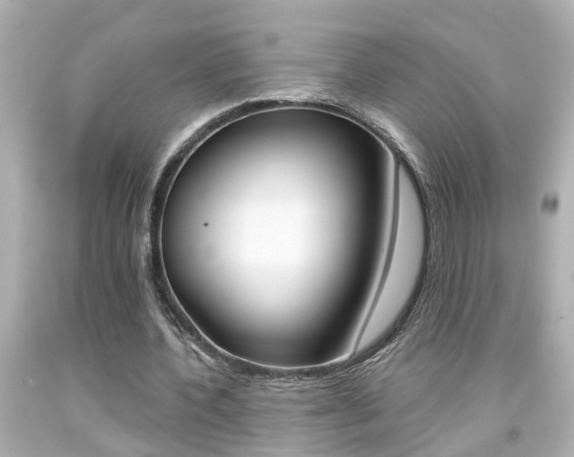 X0000094380532200711020827
