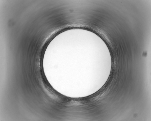 X0000094380534200711020827