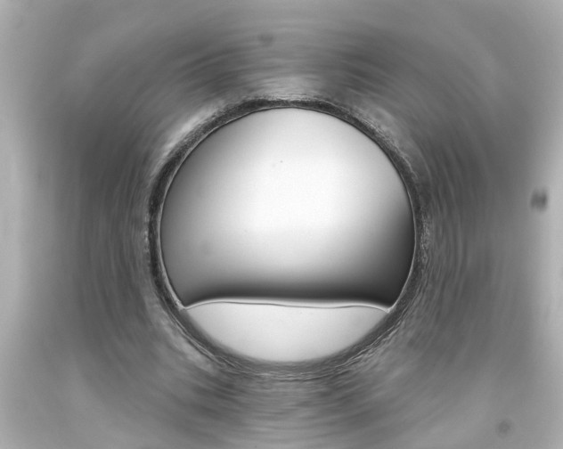 X0000094380535200711020827