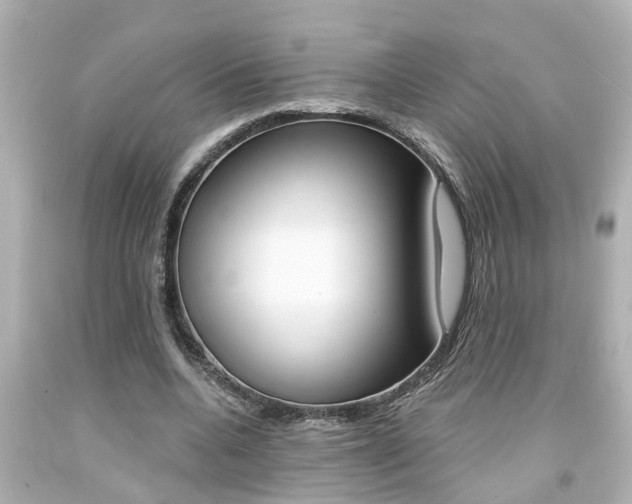X0000094380536200711020827