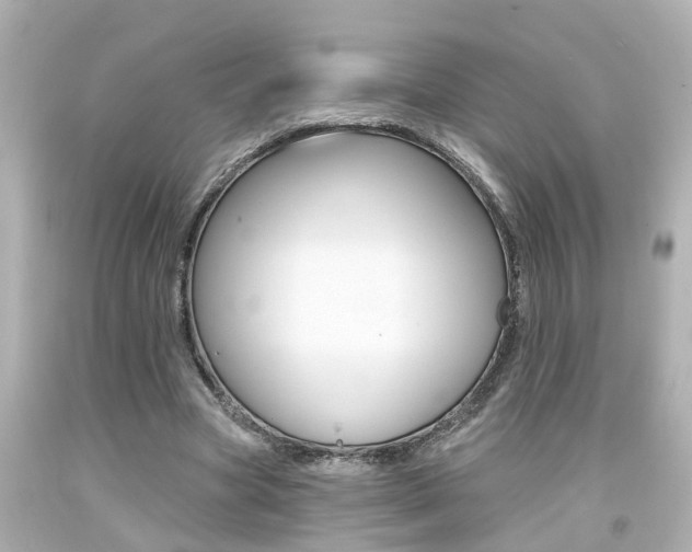 X0000094380537200711020827