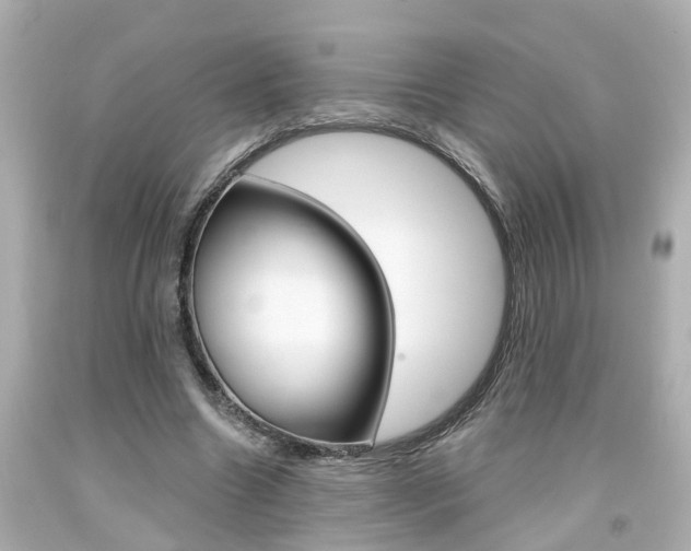 X0000094380538200711020827