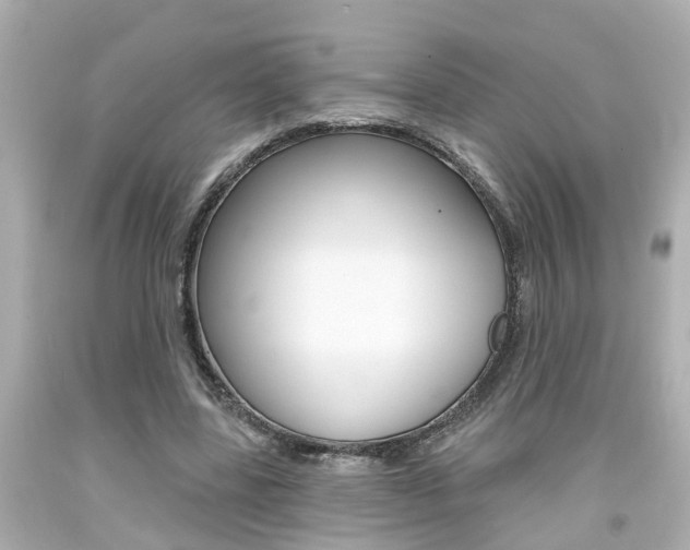 X0000094380539200711020827