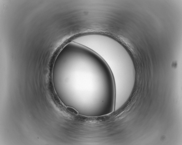 X0000094380540200711020827