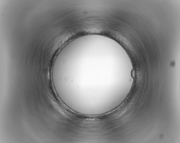 X0000094380541200711020827