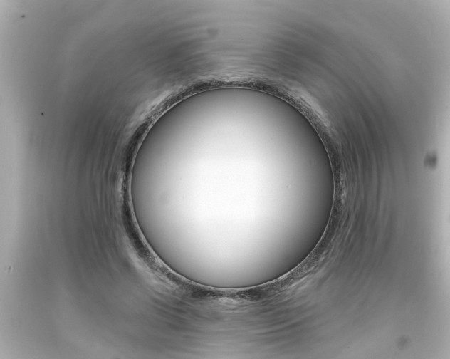X0000094380542200711020827
