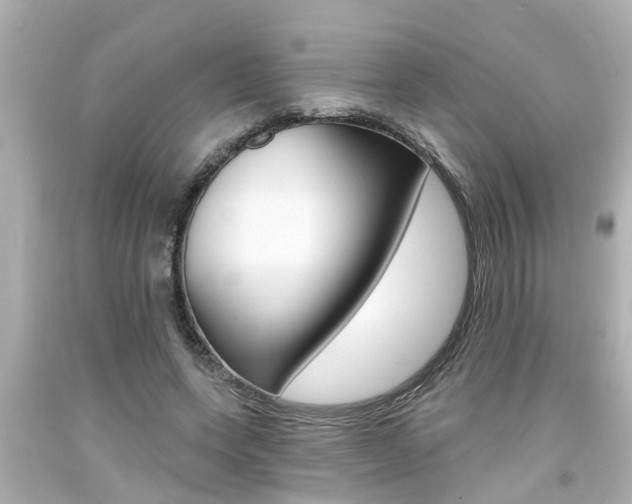X0000094380543200711020827