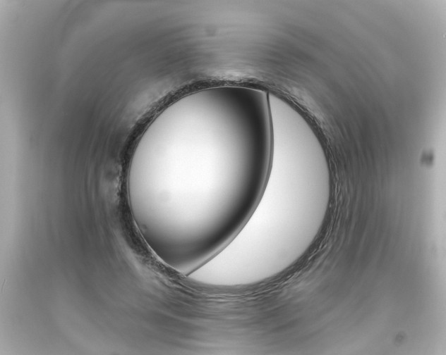 X0000094380544200711020827