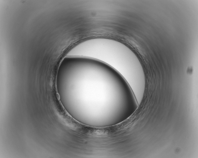 X0000094380546200711020827