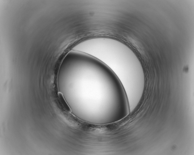X0000094380548200711020827