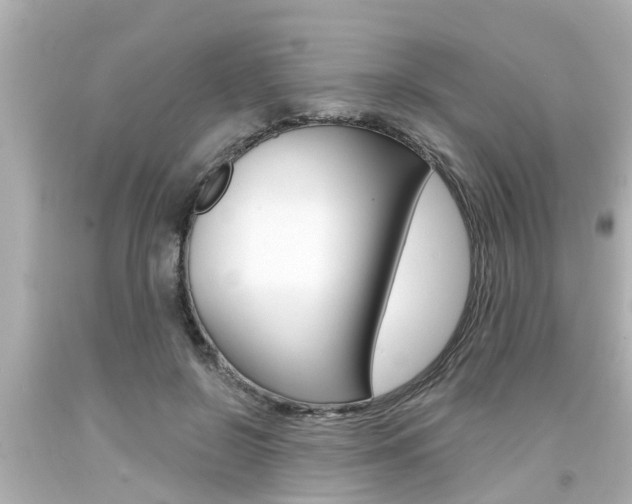 X0000094380550200711020827