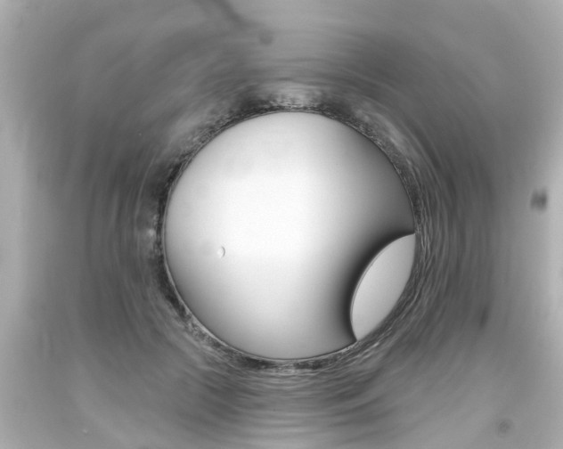 X0000094380553200711020827