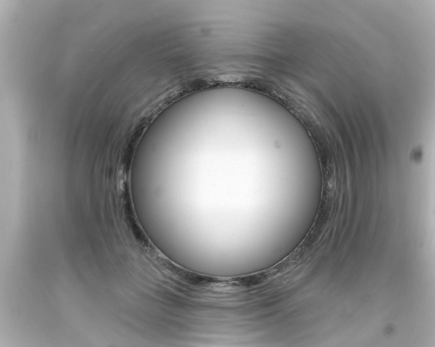 X0000094380555200711020827
