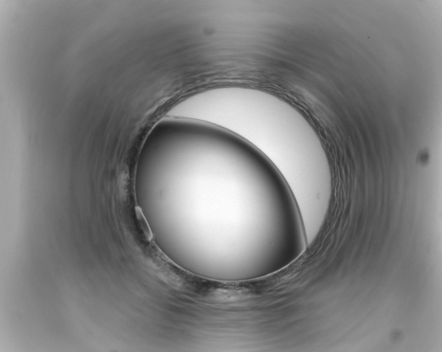 X0000094380556200711020827