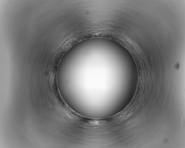 X0000094380558200711020827