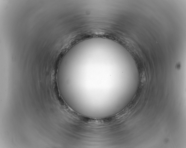 X0000094380559200711020827