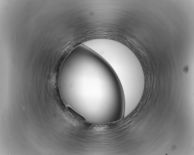 X0000094380560200711020827