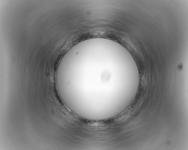 X0000094380561200711020828