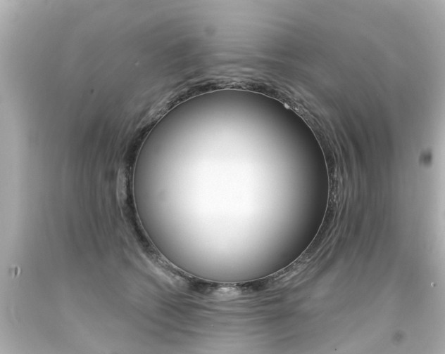 X0000094380562200711020828