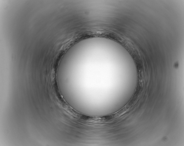 X0000094380563200711020828