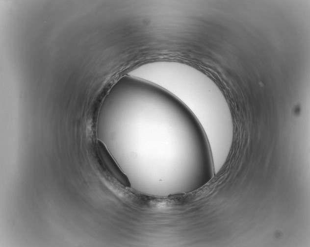 X0000094380564200711020828