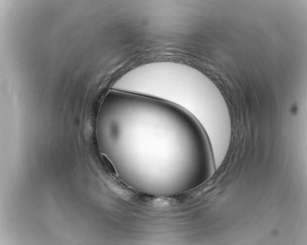 X0000094380566200711020828